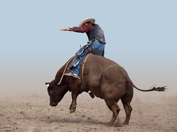 Ração para Animais de Rodeio